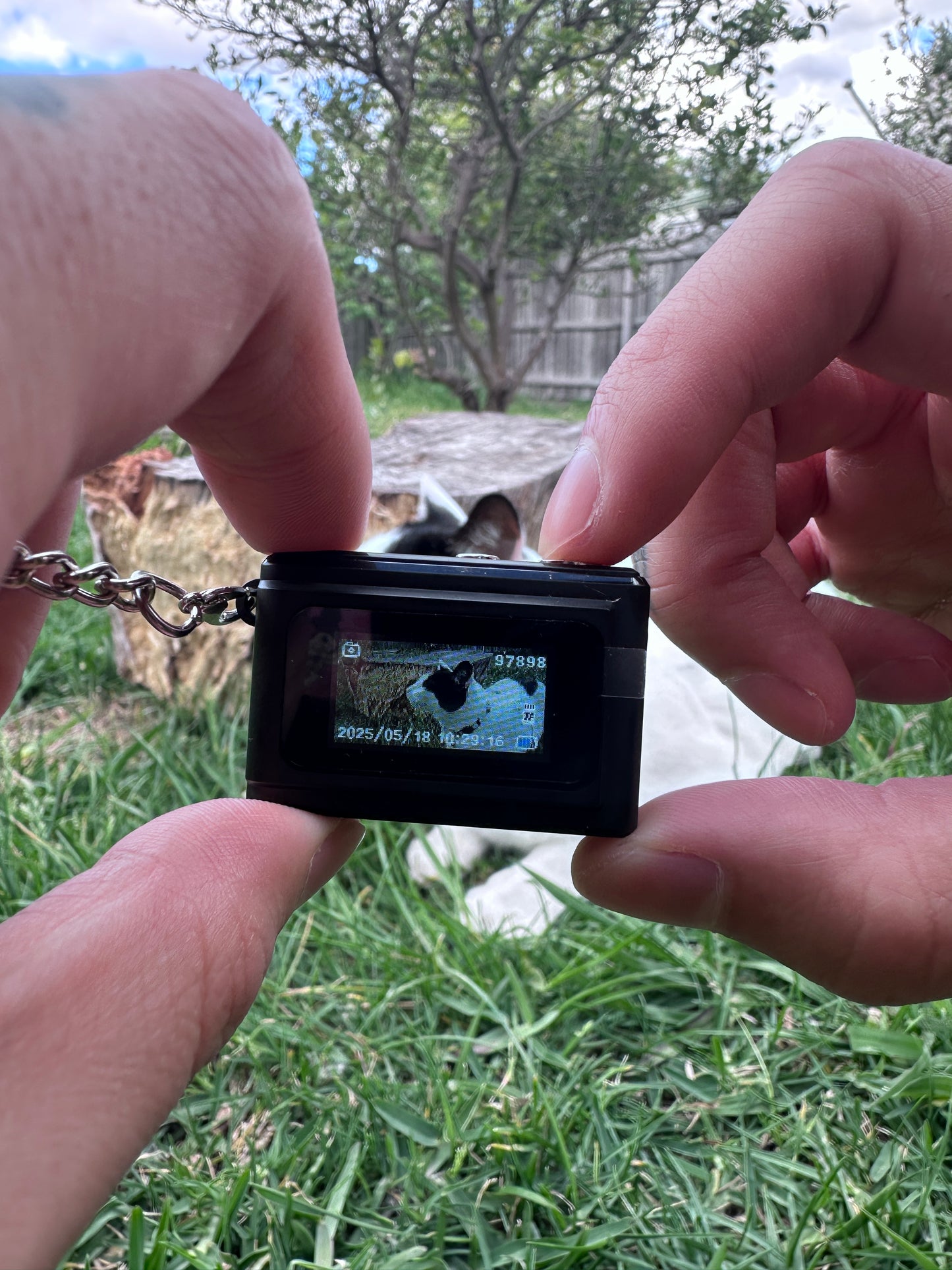 Small digital device held by hands with a grassy background