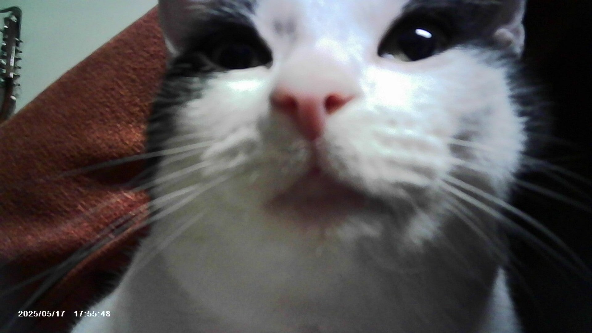 VitaCam 1080P Mini Camera Pink