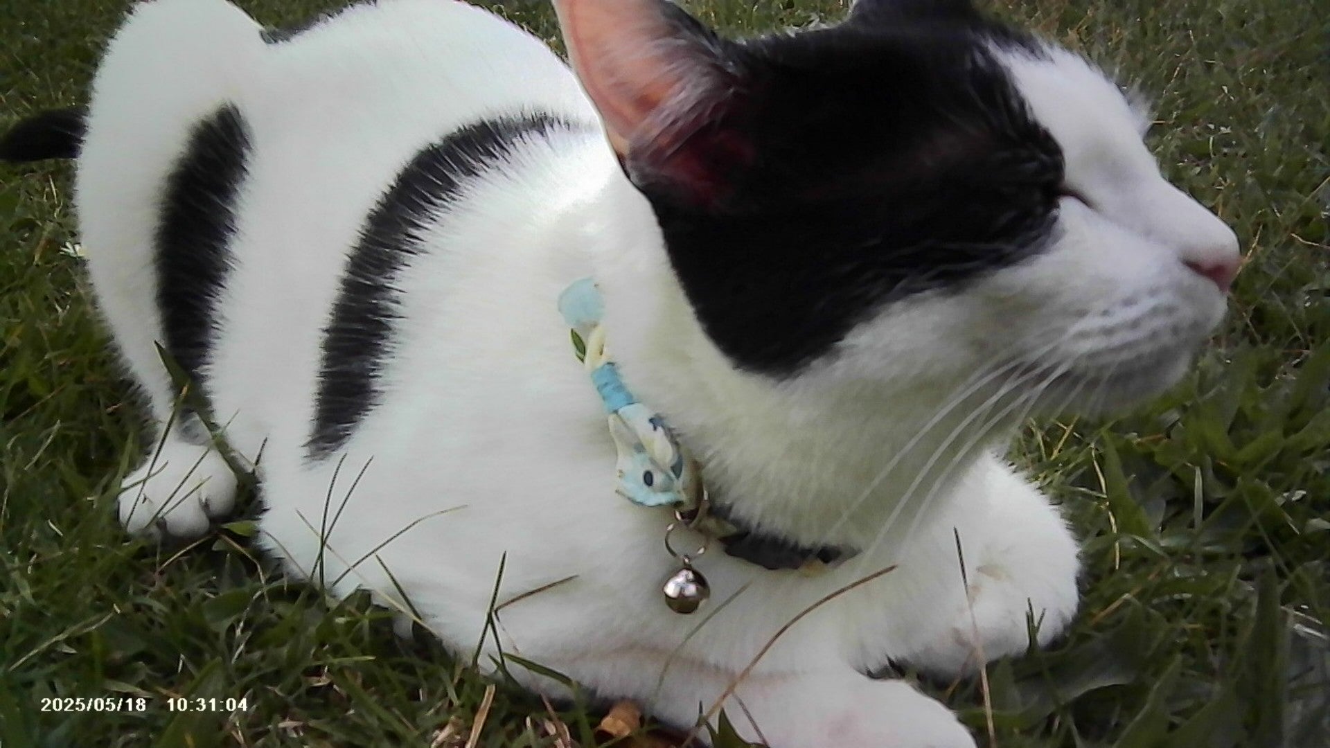 VitaCam 1080P Mini Camera Pink