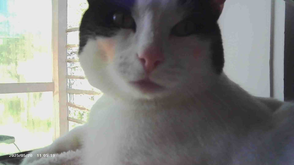 VitaCam 1080P Mini Camera Pink